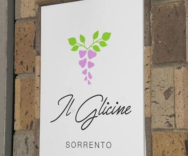 Guest house Il Glicine 4*